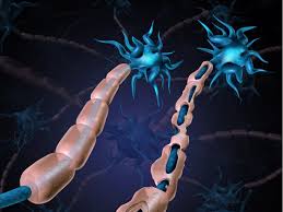 There are many different causes of transverse myelitis, including infections and immune system disorders that attack the body's tissues. Could Covid 19 Be Causing This Rare Spinal Cord Disorder