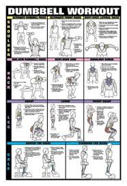Dumbbell Workout Bodybuilding Workout Posters Dumbbell