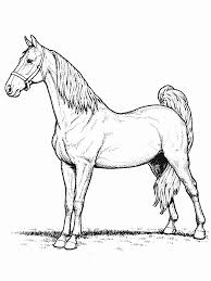 Horse coloring sheets at momjunction Free Printable Horse Coloring Pages For Kids Animal Place
