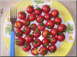 Tomate Bistro Tomates Semis Cuisine