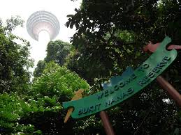 Di hutan simpan segari juga terdapat pusat penetasan penyu dan pusat maklumat yang diusahakan sejak pada tahun 1990 sehingga ke hari ini. Myrokan December 2016