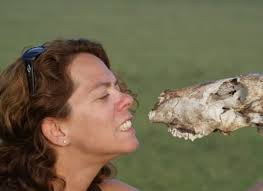 New York's Harry's Bar & Restaurant Opens in West Palm Beach