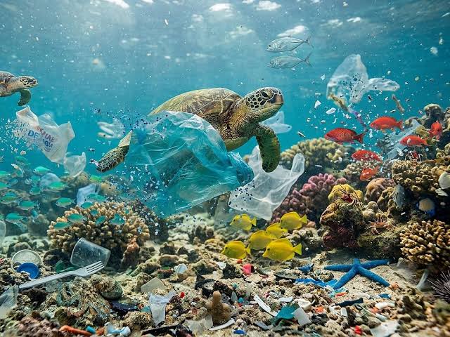 Single Use Plastic: ಆಹಾರ ಸರಪಳಿಯಲ್ಲಿ ಮೈಕ್ರೋಪ್ಲಾಸ್ಟಿಕ್! ಪ್ಲಾಸ್ಟಿಕ್‌ಗೆ  ಪರ್ಯಾಯವಾಗಿ ಈ ಚೀಲ ಬಳಸಿ