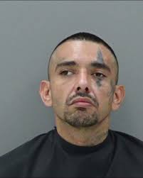 Loudon arrest record for Stephanie Goyette, multiple charges including  driving under the influence