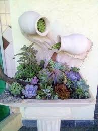 Timeline Photos Vida Suculenta By Sheila Facebook Little Gardens Succulents Mini Garden