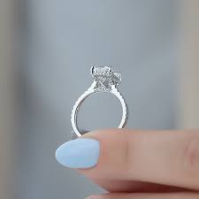 Image result for Pavetta comostyla