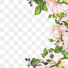 Pink Flowers Pink Flowers Bud Png Transparent Clipart Image And Psd File For Free Download In 2020 Flower Painting Watercolor Flower Background Watercolor Flowers