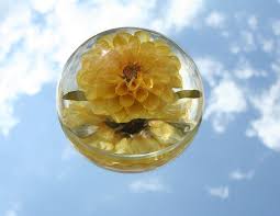 Check spelling or type a new query. Paperweight Flower Glass Free Photo On Pixabay