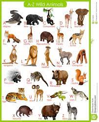 See the top most threatened and endangered african animals. African Animals List African Animals List Facts Conservation Status Pictures A Comprehensive And Complete A To Z List Of Africa Animals Together With Information And Photos About Each Of The