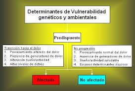 Al igual que muchas patologías, es. Nuevos Conocimientos De La Fisiopatologia Del Sindrome De Fibromialgia Medwave