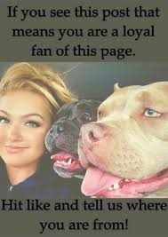 I am from California ❤️❤️