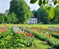 1840 erfolgte eine weitere verlegung vor das. Merian Garten
