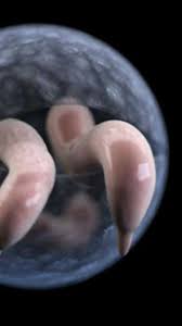 Wegen Chlorresistenter Parasiten Was Sie Vor Dem Schwimmen Immer Machen Sollten The Weather Channel Artikel Von The Weather Channel Weather Com