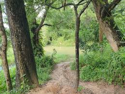 The hidden park is still a trove of activities, from fishing to biking. Path Bild Von Tampines Quarry Singapur Tripadvisor
