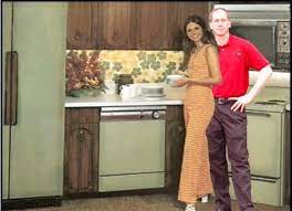 Maybe you would like to learn more about one of these? Avocado Green Kitchen Appliances Nostalgia