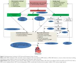 Check spelling or type a new query. Review Of Novel Therapeutic Targets For Improving Heart Failure Treatm Tcrm