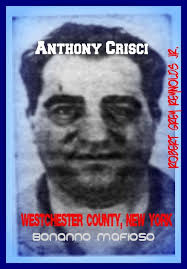 Anthony Crisci Westchester County, New York Bonanno Mafioso (ebook), Robert  Grey...