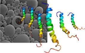 Image result for Pramlintide