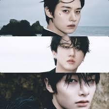 Are these holographic Stray Kids photocards real or fake?