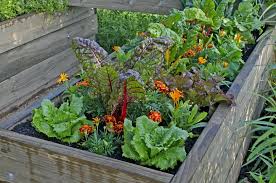 planting guide for home gardening in alabama alabama