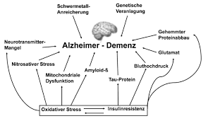 Alzheimer disease (ad) is a chronic neurodegenerative disease and the leading cause of dementia. Pin Auf Alzheimer
