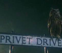 Birds Of Prey Credits Scene Explained Cineplex News Top 15 Harry Potter Moments So Far By Emma Badame On October 20 2010 Opening Credits Iconic Movies Harry Potter