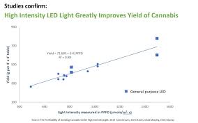 The Profitability Of Growing Cannabis Under High Intensity