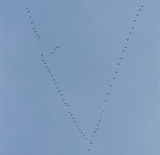 Cut one large square for the peaked fabric and four small squares for draw a line from one corner to the opposite corner on the reverse side of the four small squares. Why Do Geese Fly In A V Library Of Congress