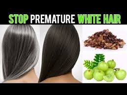 Shumaila S Diary Youtube With Images Premature Grey Hair Coconut Oil Hair Growth Homemade Skin Toner