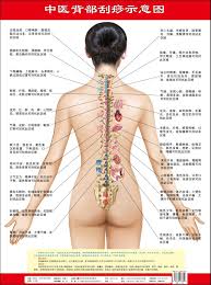 Come in, learn the word translation tulang belakang and add them to your flashcards. 4 Grafik Refleksi Zona Grafik Tangan Kaki Wajah Tulang Belakang Perawatan Kesehatan Di Rumah Paket Akupunktur Edisi Cina Alat Pijat Aliexpress