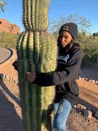 Organ pipe cactus national monument is where some migrants cross the border into the u.s. Stanley Roberts On Twitter Today Is National Hug A Cactus Day Show Your Cacti Some Love Cactushuggers