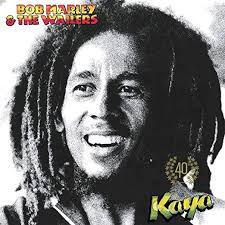 Download Mp3 Bob Marley The Wailers Crisis In 2020 Bob Marley Songs Bob Marley Bob Marley Music