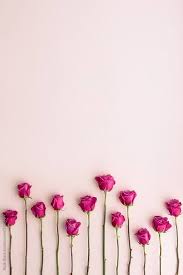 Pin By Cagla Musa On Florals Pink Flowers Wallpaper Pink Background Flower Wallpaper