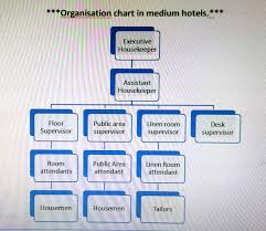 Organizational Chart Of Front Office Department Of 5 Star