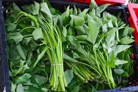 Image result for Ipomoea aquatica