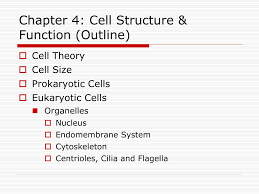 Check spelling or type a new query. Ppt Chapter 4 Cell Structure Function Outline Powerpoint Presentation Id 5958892