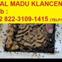 Secara purata, madu kelulut mempunyai rasa yang sedikit masam berbanding madu lain. Agen Madu Klanceng 62 822 3109 1415 Telp Wa Harvard University Academia Edu