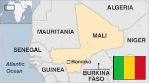 The mali series of graphics processing units (gpus) are semiconductor intellectual property cores produced by arm holdings for licensing in various asic. Mali Profile Overview Bbc News