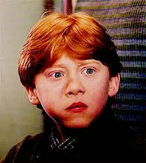 Ron Weasley🍗