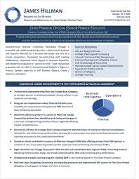 Find finance director jobs at govtjobs.com. Chief Financial Officer Resume Example By Career Steering Com Financial Planning Analysis Business Chief Financial Officer Executive Resume Resume Examples