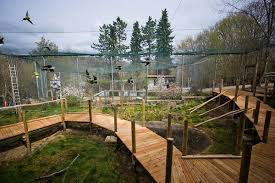 We did not find results for: Affen Und Vogelpark Reichshof Zu Ostern Gibt Es Etliche Neue Attraktionen Kolnische Rundschau