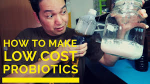 low cost probiotics for your livestocks
