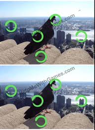 Kunci jawaban find the differences level 9. Find The Differences The Detective Serial Killer Level 8 Helpmewithgames