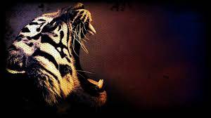 Tiger Art Wallpaper 1920x1080 29329 Tiger Art Tiger Pictures Tiger Wallpaper