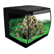 However, the word small is relative and in fish tanks, a small one holds at most 10 gallons of water. The 7 Best Betta Fish Tanks Available Today 2020 Guide Reviews