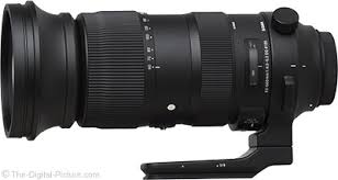 sigma 60 600mm f 4 5 6 3 dg os hsm sports lens review