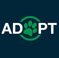 Pet adoption, free spay/neuter resources, info. Brevard County Fl South Animal Care And Adoption Center Home Facebook