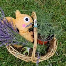 Frequently asked questions about hill country lavender farm. Pleasant Valley Lavender 34 Photos Pick Your Own Farms 288 Pleasant Valley Rd Morganville Nj Phone Number Yelp