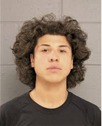 ᐅ Illinois Criminal Records 2009-2025