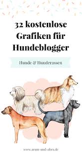 Illustrationen Fur Hundeblogger Teil 2 Hunderassen Hunderassen Hunde Hunde Rassen